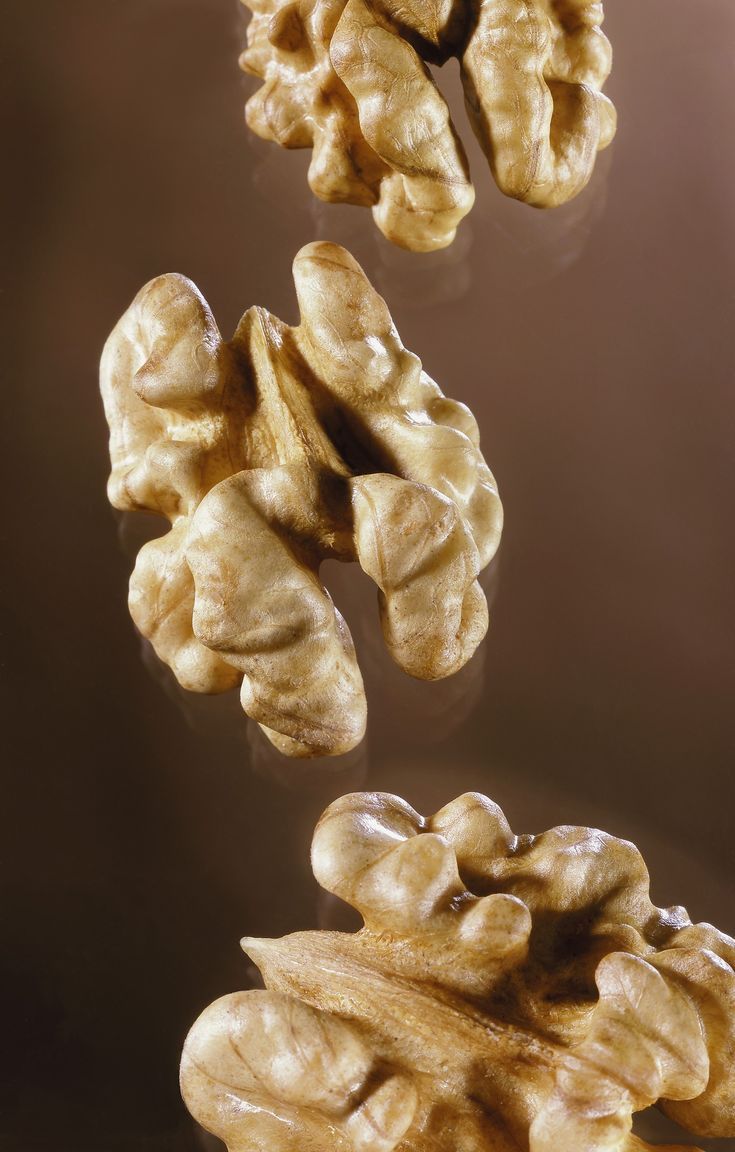 Logistics & Cold-Chain Shipping Solutions for Bulk Walnut Export